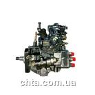 Фирменный ремонт насоса ТНВД ДАФ AE 45 VE (Bosch)