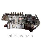 Фирменный ремонт насоса ТНВД DAF LF 45/55 рядного типа